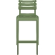 Vert Olive 